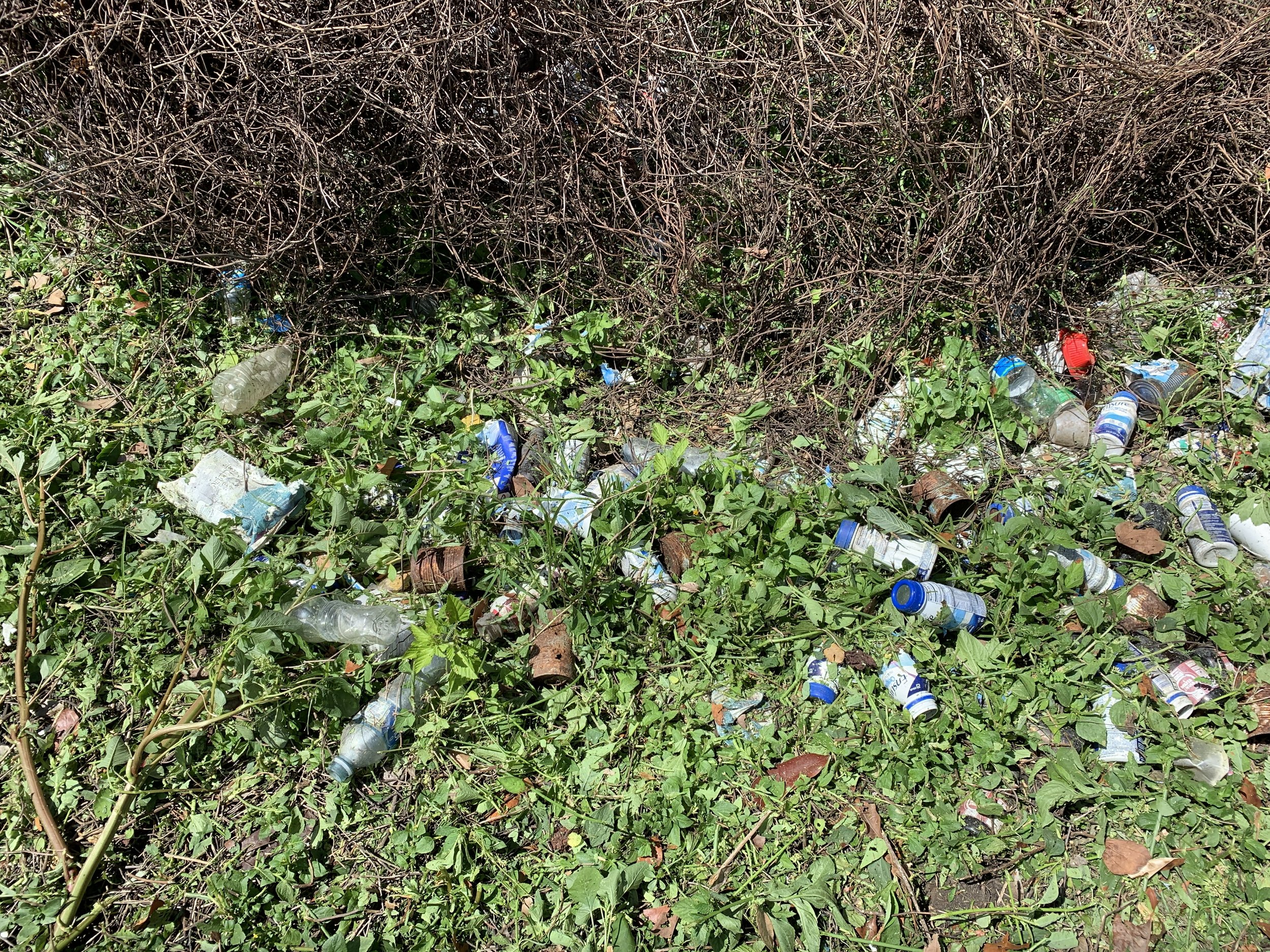  plastic bottles and other debris laying on side of the road 