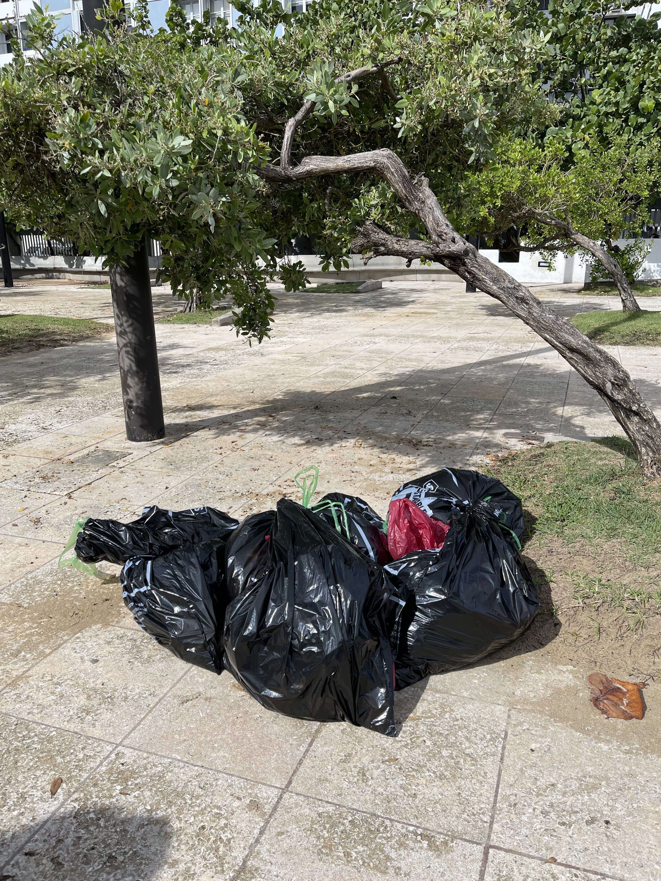  Trash bags filled with trash that was found at the beach by AD&amp;V team members. 